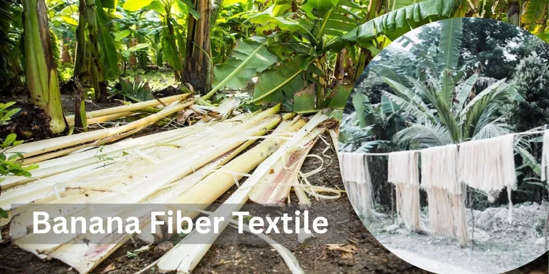 Banana Fiber Textile Market Forecast: Crossing $1.2 Billion by 2032 with Strong 8.7% CAGR 